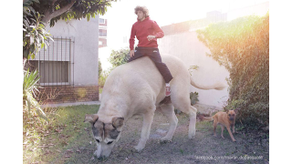 Illustration for article titled These Awesome Photoshops Are Perfect Because They Were Well Planned